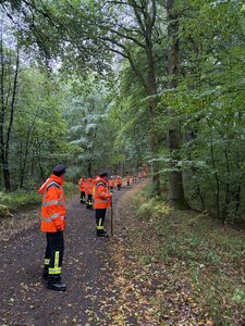Bild zeigt Einsatzkräfte im Wald nach Personensuche