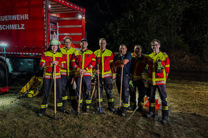 Bild zeigt Freiwillige Feuerwehr bei Einsatz Waldbrand Illingen